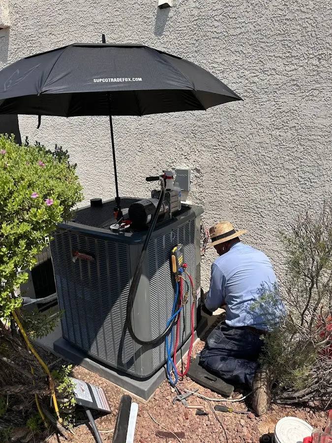HVAC technician performing outdoor AC maintenance in Crystal Lake